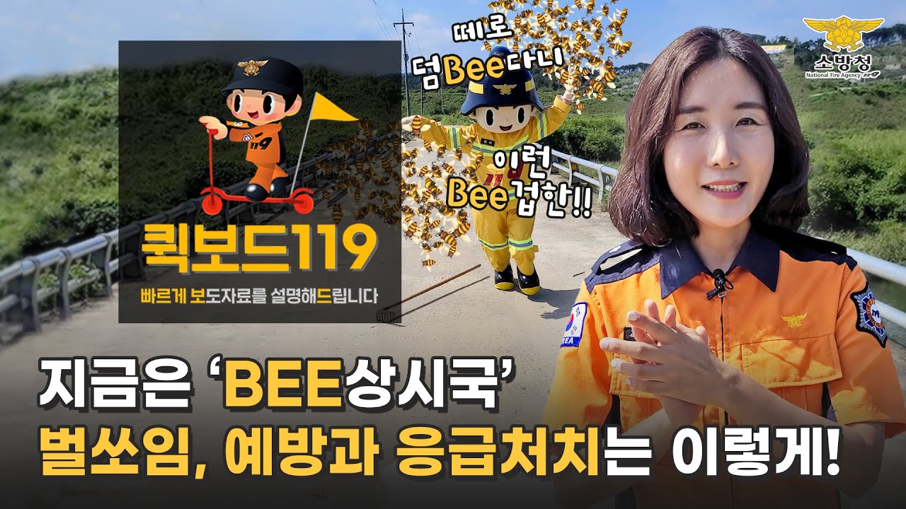 지금은 'Bee상시국' 벌쏘임, 예방과 응급처치는 이렇게!