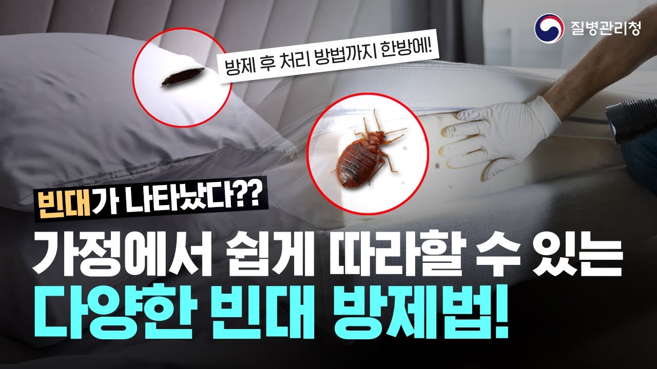 빈대가 나타났다?? 가정에서 쉽게 따라할 수 있는 다양한 빈대 방제법!